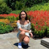 stitch_studio